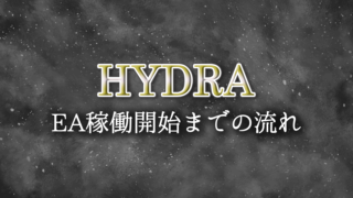 Hydra（ヒドラ）EA稼働開始までの流れ