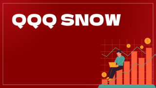 QQQ SNOWはどんなEA(自動売買)?ユーザーの評判や口コミをまとめました。