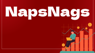 NapsNagsはどんなEA（自動売買）？ユーザーの評判や口コミをまとめました。